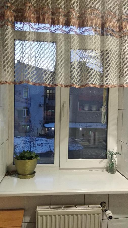 Apartment Anna 利沃夫 外观 照片