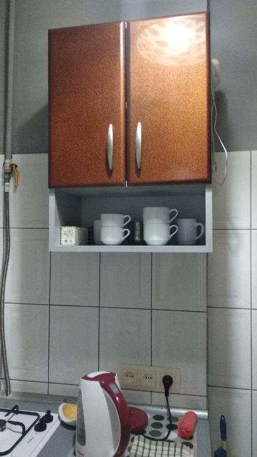 Apartment Anna 利沃夫 外观 照片