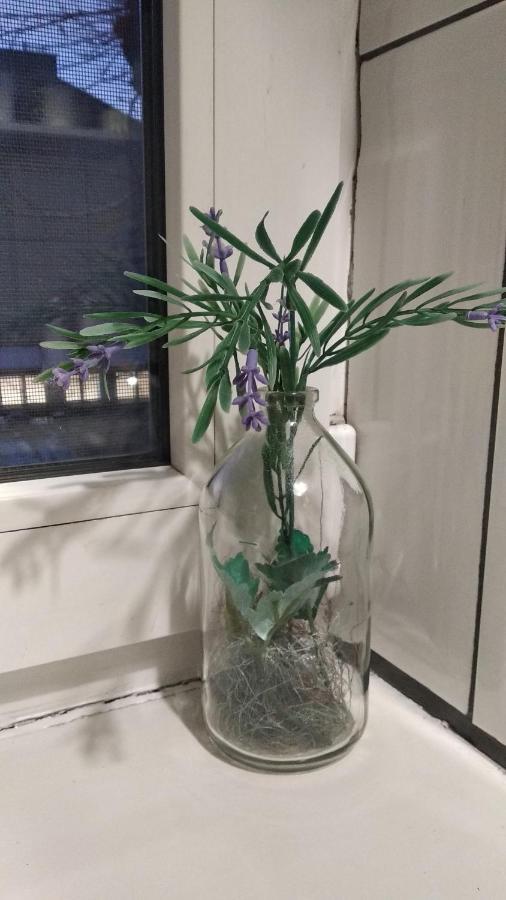 Apartment Anna 利沃夫 外观 照片