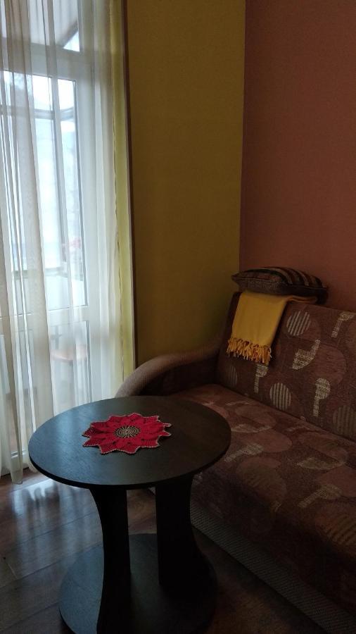 Apartment Anna 利沃夫 外观 照片